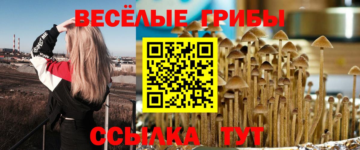 Псилоцибиновые грибы MAGIC MUSHROOMS  Вход с VPN  Приморско-Ахтарск 